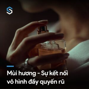 MÙI HƯƠNG – SỰ KẾT NỐI VÔ HÌNH ĐẦY QUYẾN RŨ